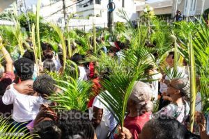 Prosesi Palma Penuh Sukacita, Umat Amba Awali Pekan Suci dengan Iman Mendalam